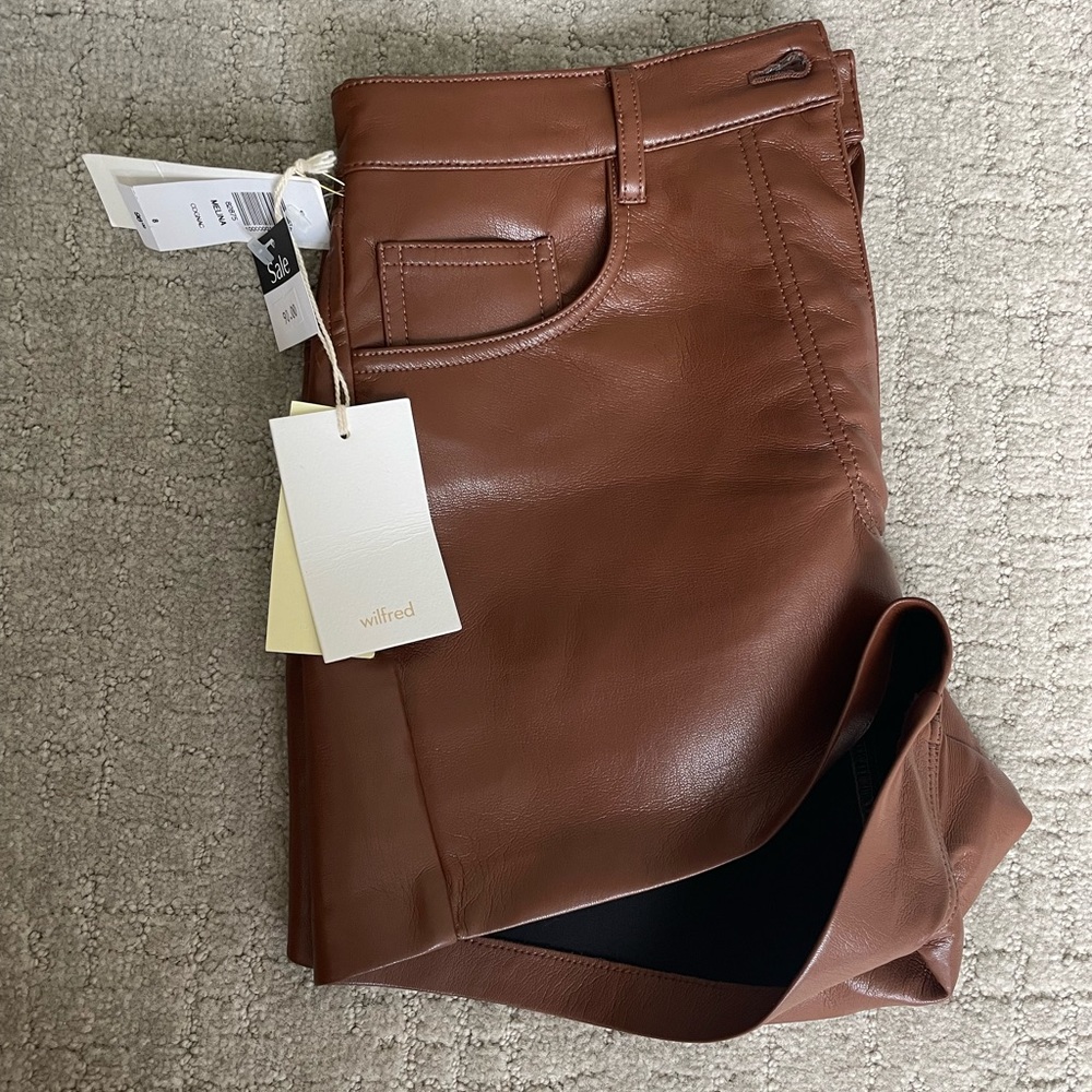 ARITZIA Leather Shorts